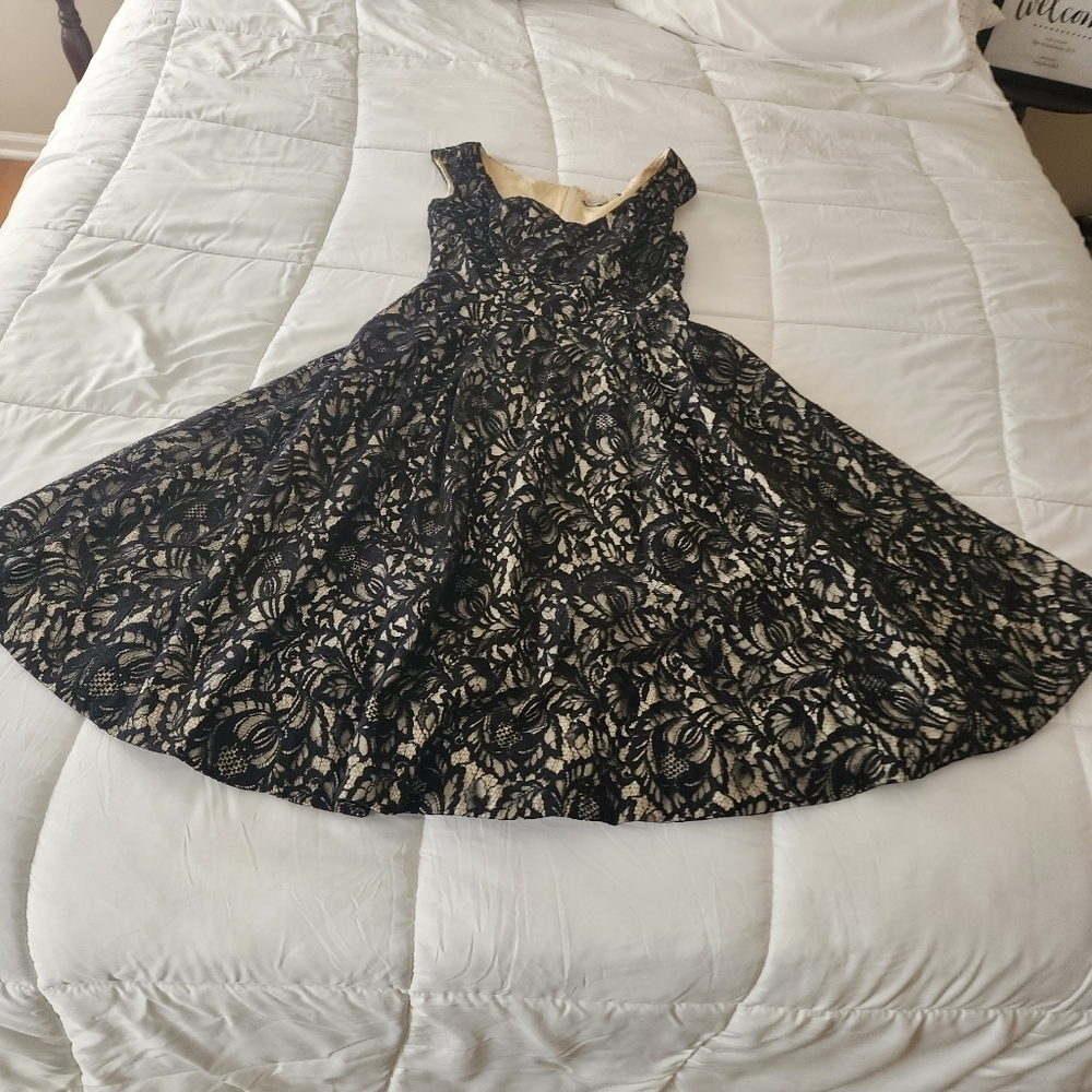 C - Beautiful Retro Mirror of Venus Lace Dress Sz 2